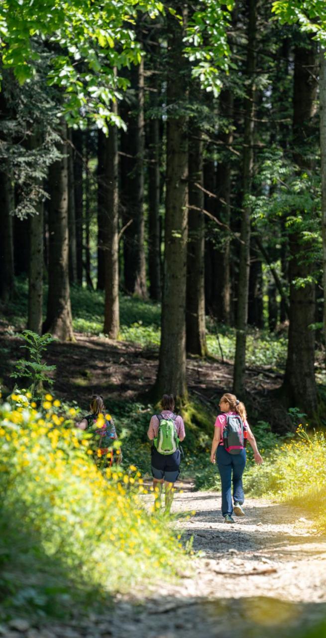 Gruppo di camminatori sulla Via degli Dei in Appennino