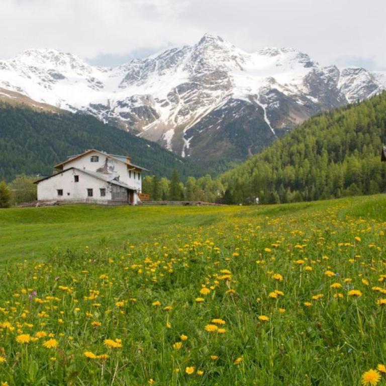 ortles group in upper val venosta