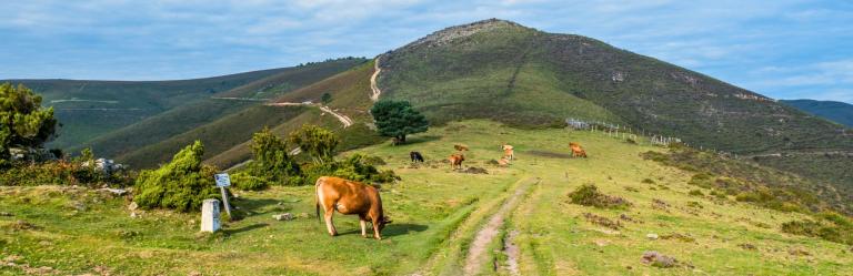 amid hills on the ancient Hospitales route of Camino Primitivo