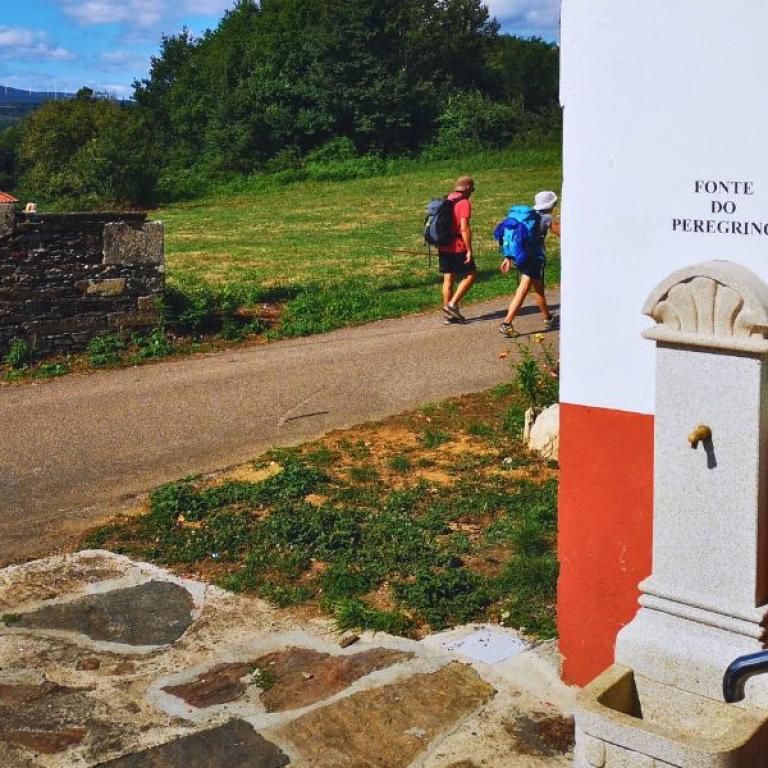 stone on the camino sanabres on path