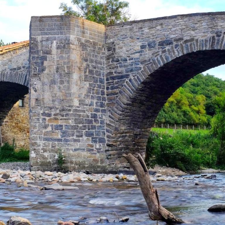 Ancient stone bridge surrounded by green forests in Navarra on the Camino de Santiago trail.