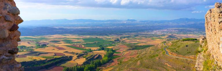 Rolling fields and vineyards of La Rioja along the Camino de Santiago Roncesvalles to Logroño route.