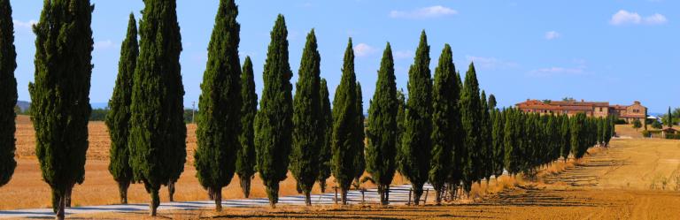 Under the Tuscan Sun horizon landscpe in Asciano