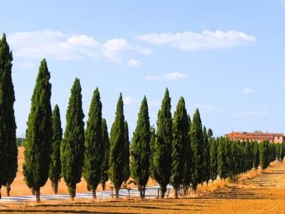 VIA LAURETANA TOSCANA, UNDER THE TUSCAN SUN Self-Guided