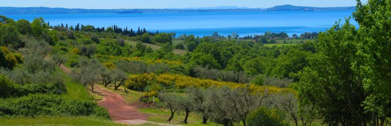 dying town bagnoregio Via Romea Germanica Castiglione Montefiascone