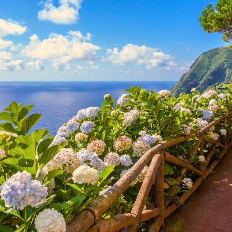 Coastal Path in Sao Miguel on the Azores Islands