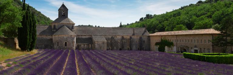 Provence abbey of Senanque with violet flowers 