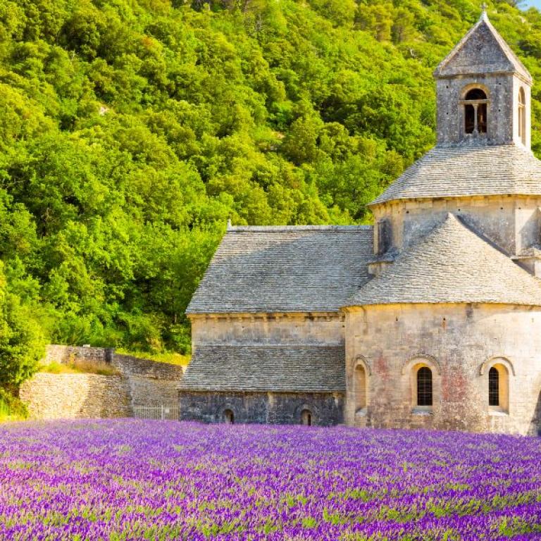 Abbey of Senanque in Provence