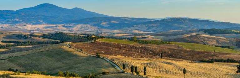 landscape of Tuscany with vineyards and walking trail