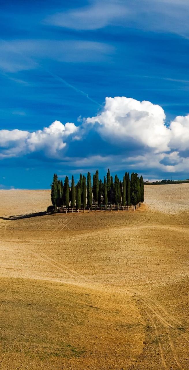 landscape of Tuscany with vineyards and walking trail