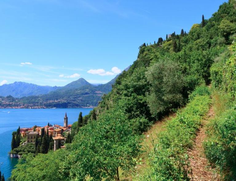 Path through olive groves above Varenna, with stunning views of Lake Como during a peaceful hike