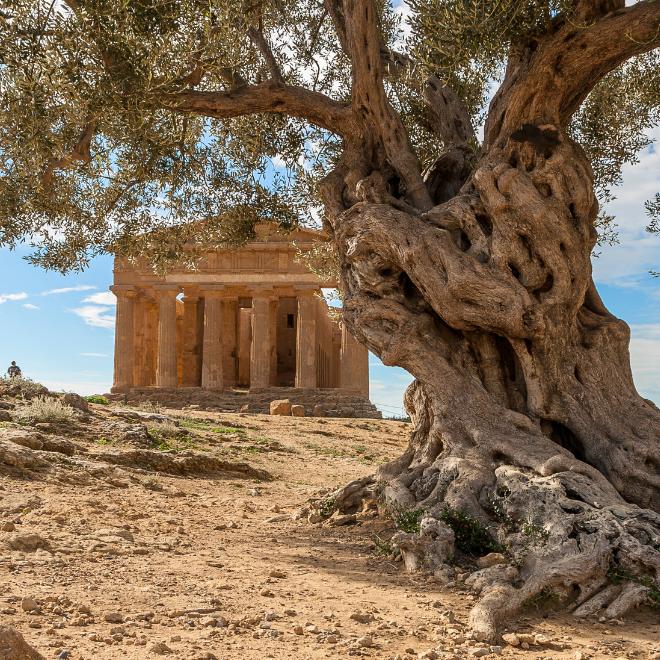 The archaeological park Valley of the Temples in sicily