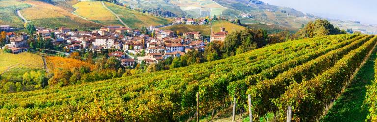 piedmont view of vineyards and town in langhe