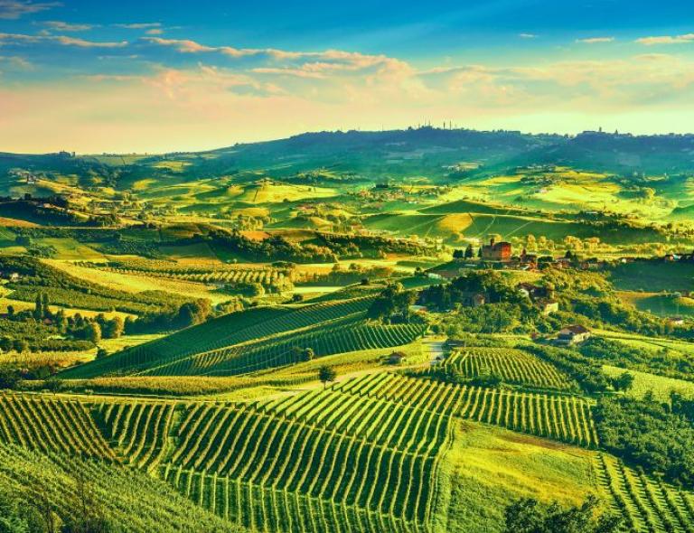 Barolo's Langhe vineyards unveil a stunning sunset Northern Italy