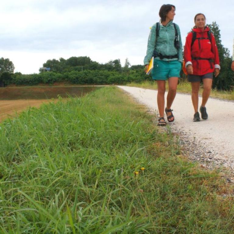 walking and hiking tours pilgrim route