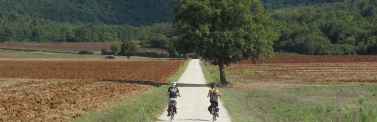 viaggi in bicicletta strade bianche a Monteriggioni Francigena