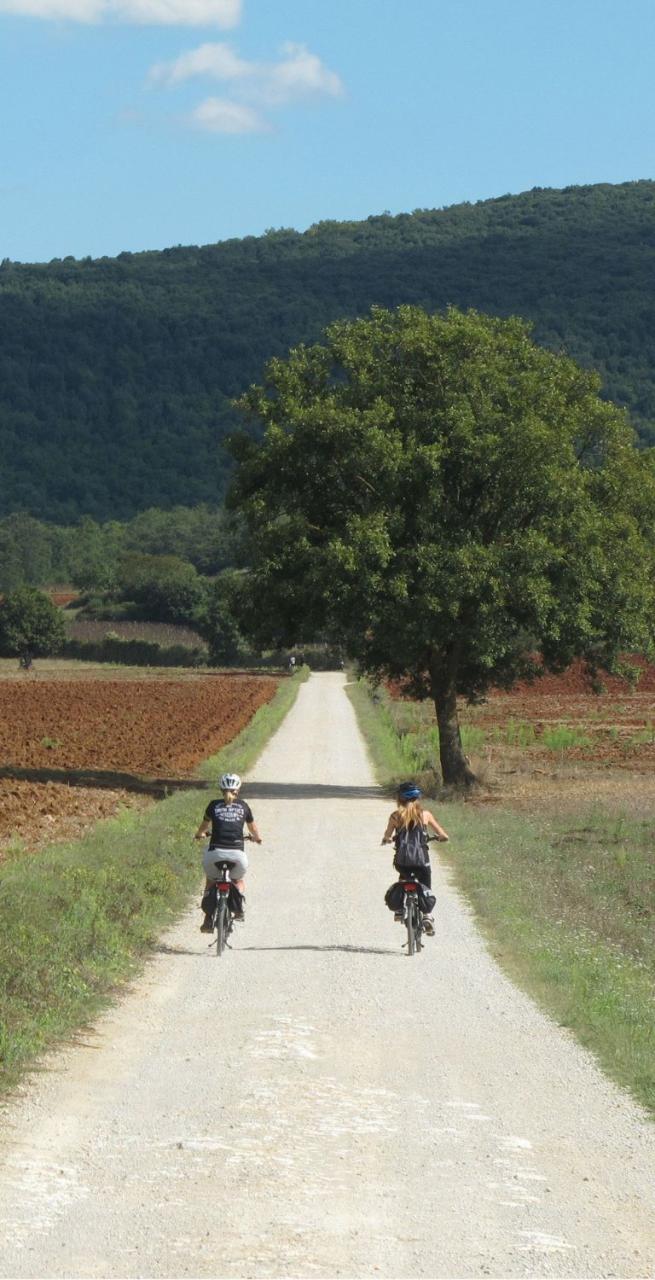 viaggi in bicicletta strade bianche a Monteriggioni Francigena
