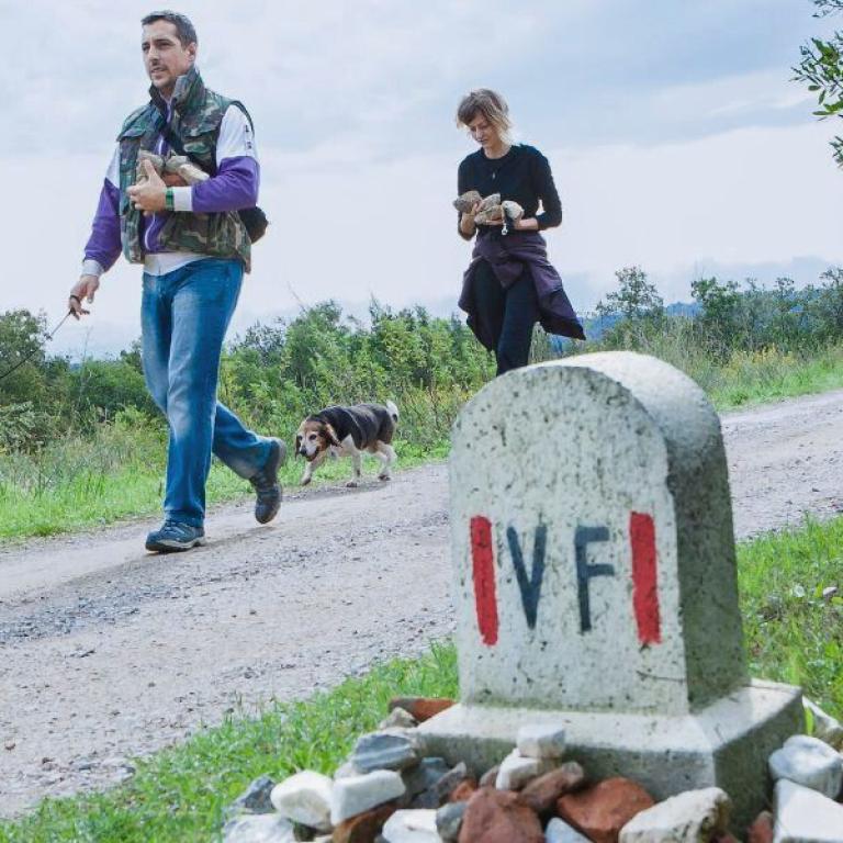 Escursioni e cammini con il cane lungo antichi percorsi