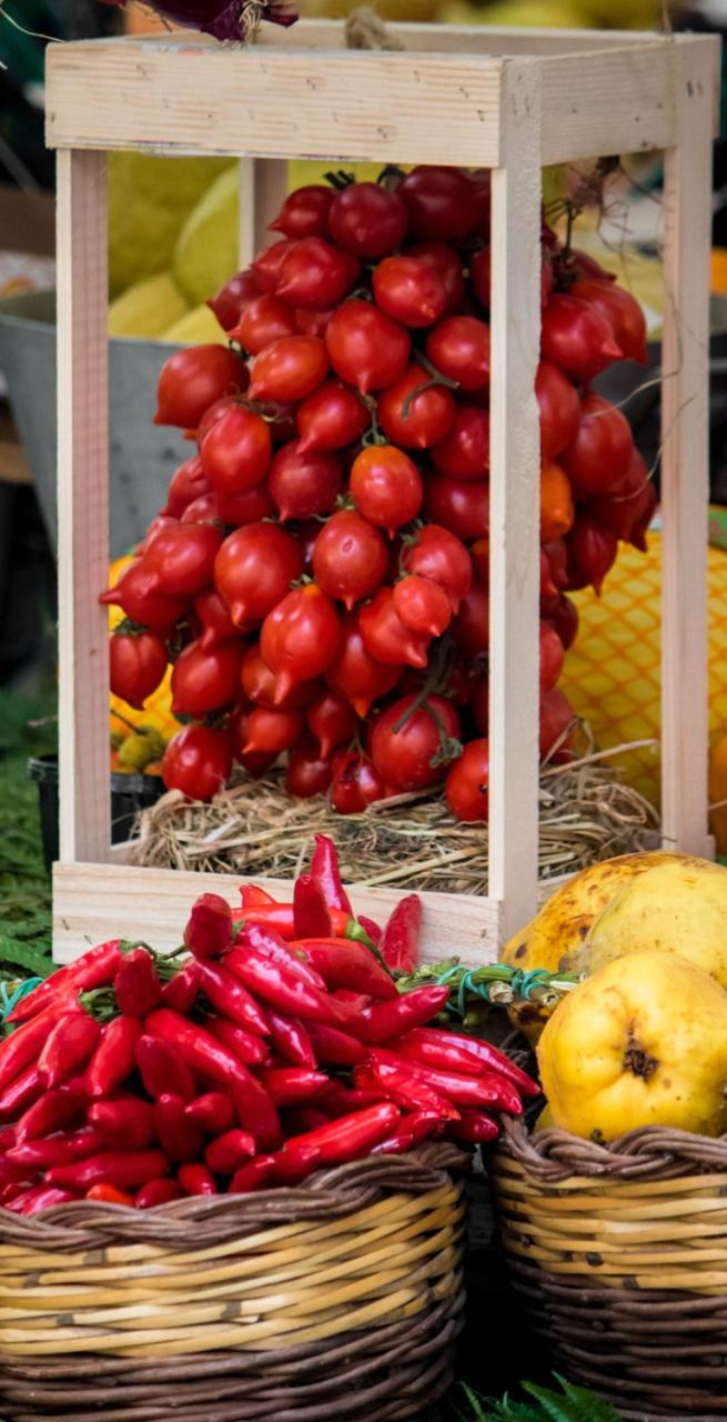 the typical culinary italian primi dishes