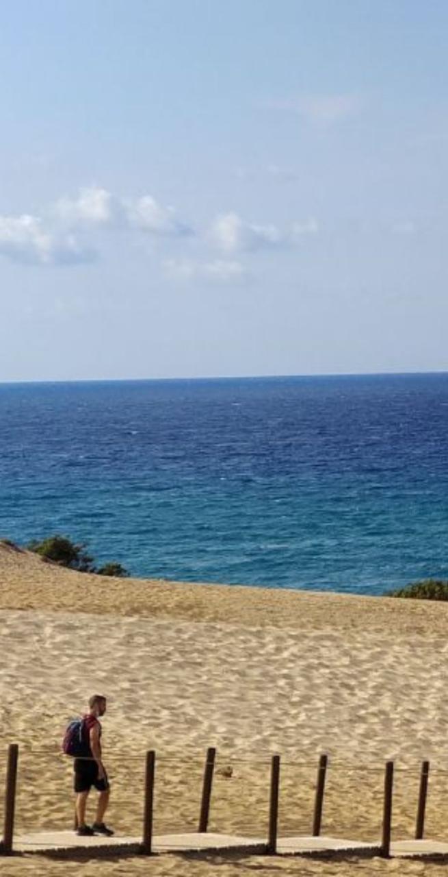 Easier trips hikers walking in forest