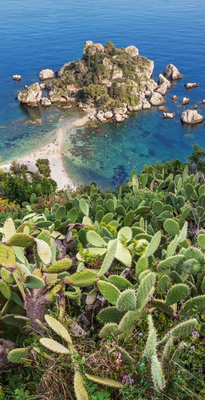 summer trips beach from above path