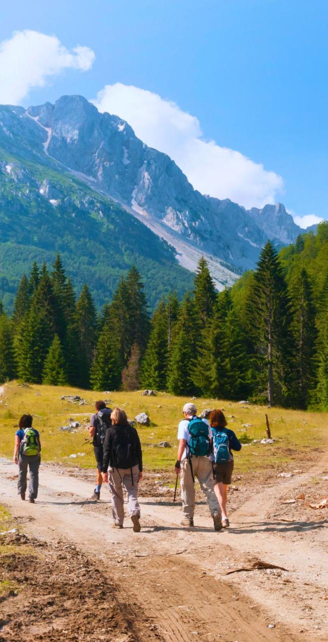 booking for groups hikers on alps