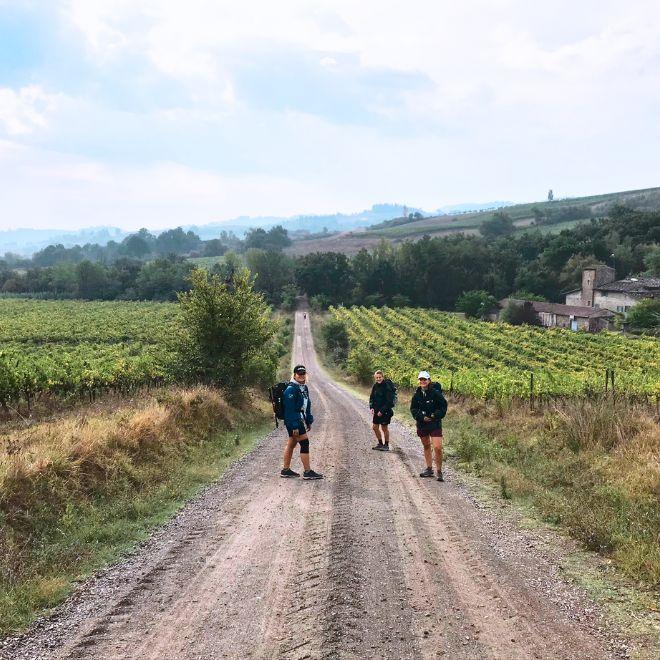 group walking on a path nearby vineyards