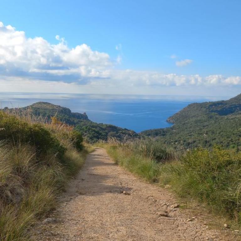 Cilento walking path countryside
