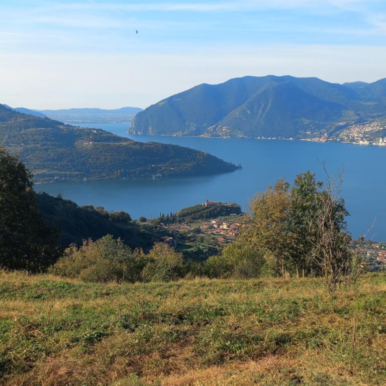 view of the lake in marone