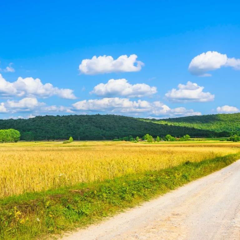 Francigena Easy Lucca Siena path Abbadia a Isola