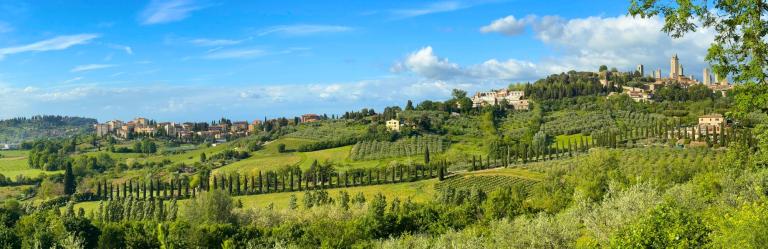 Francigena Easy Lucca Siena signs on path to Monteriggioni