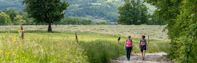Easy walking section of the Via degli Dei between Bologna and Florence
