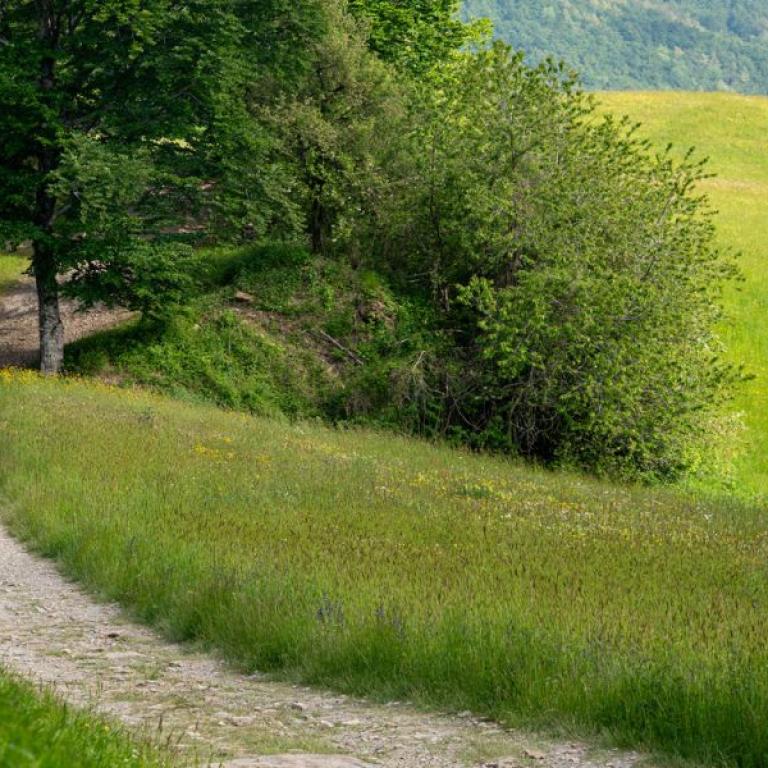 Pathway of the Via degli Dei Easy route, suitable for beginners