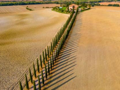 VIA FRANCIGENA EASY, FROM SIENA TO ORVIETO Self-Guided
