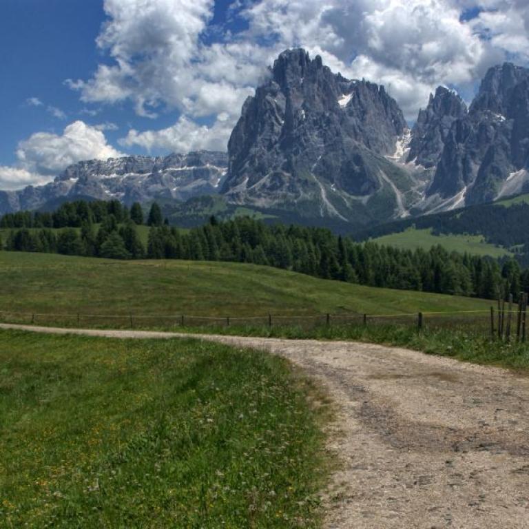 Easy Dolomites Chestnut Route alpe siusi