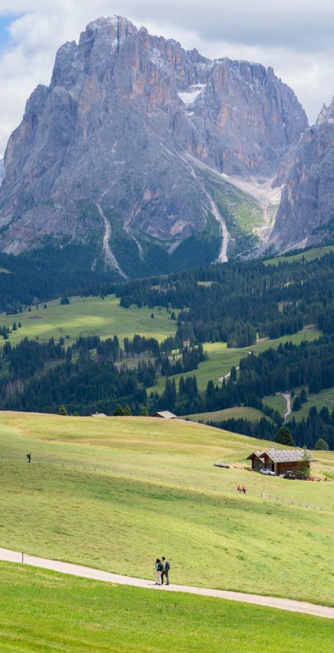View of the rolling hills and farms along the Sentiero del Castagno in South Tyrol, surrounded by green meadows and mountain landscapes