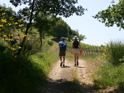 Val d'Orcia walkers on crete path