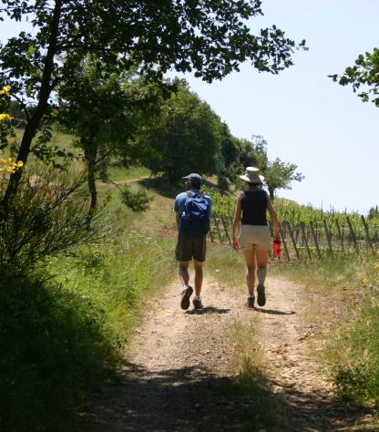 Val d'Orcia walkers on crete path