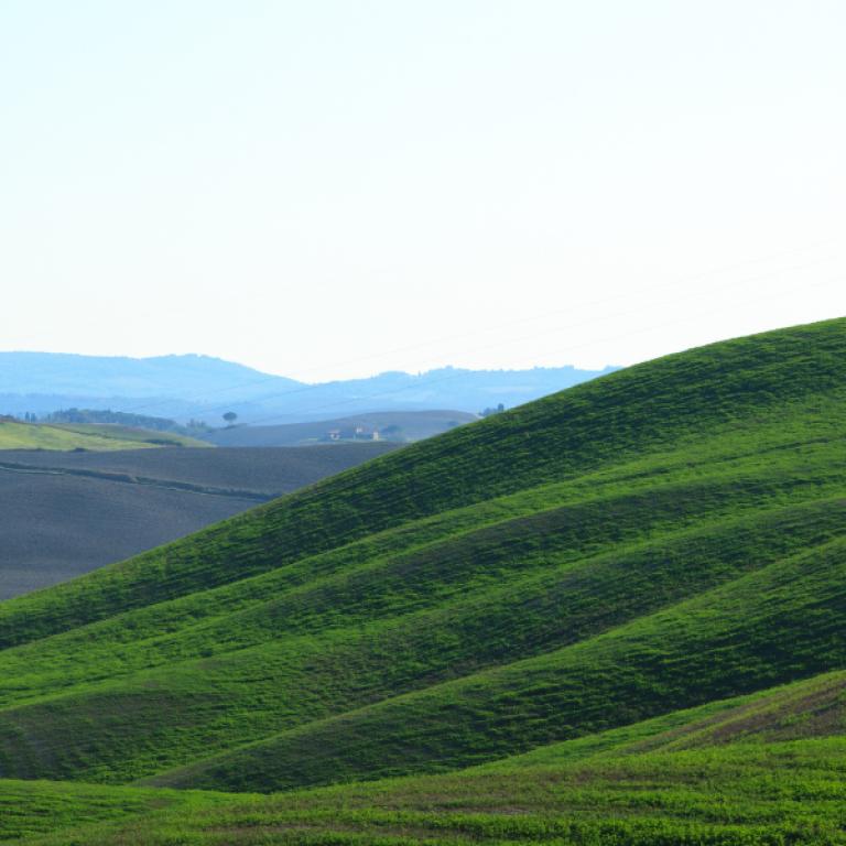 Via Lauretana Easy Under the tuscan sun asciano green hill