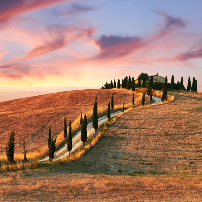 beautiful strada bianca on hill in tuscany with cypresses
