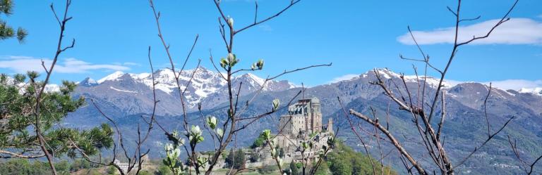 Sacra di San Michele perched above the Susa Valley with snowy alpine peaks and tree branches