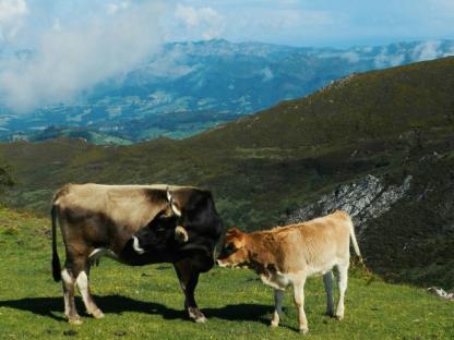 CAMINO DEL NORTE, SANTANDER TO OVIEDO Self-Guided