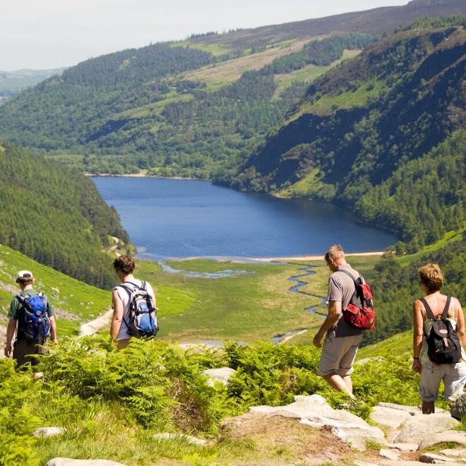 Paesaggi verdi lungo i cammini in Irlanda
