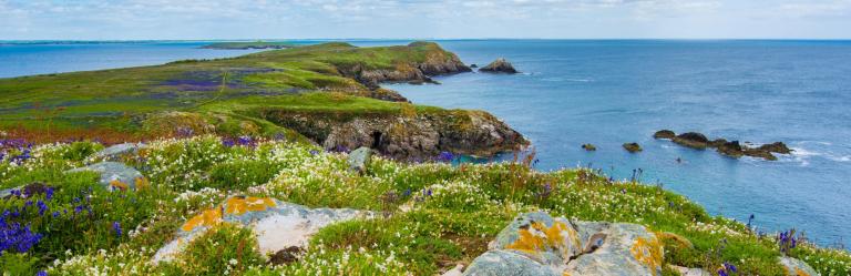 Paesaggi verdi lungo i cammini in Irlanda