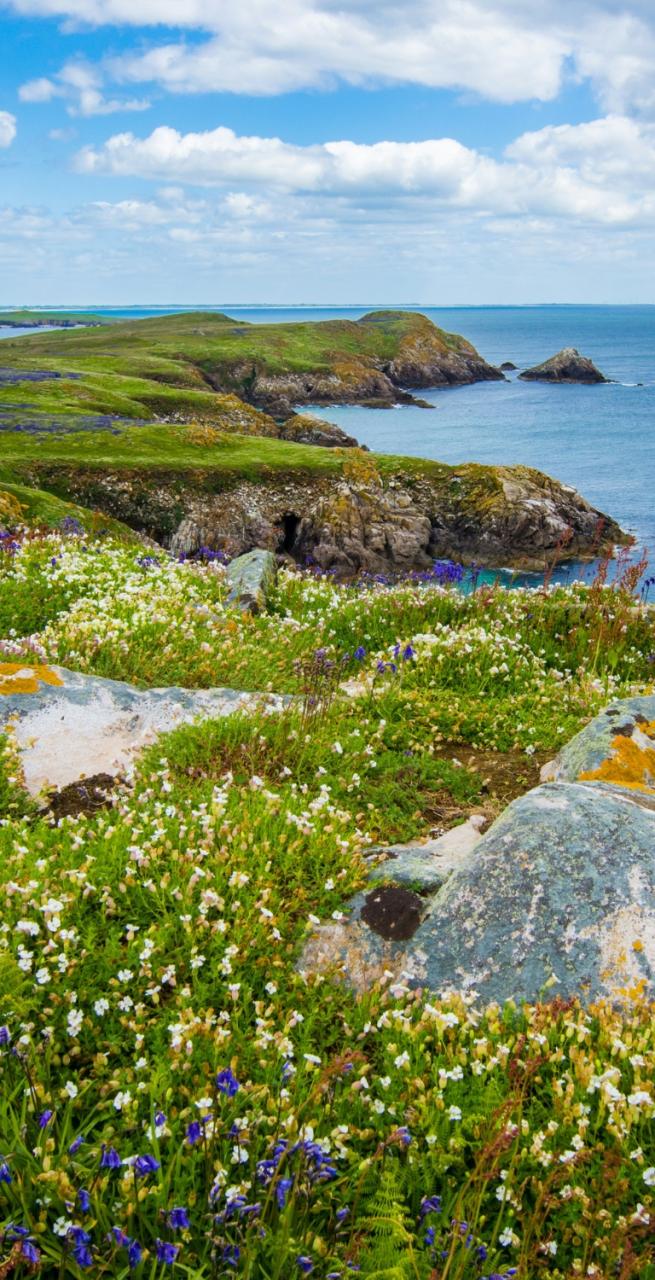 Paesaggi verdi lungo i cammini in Irlanda