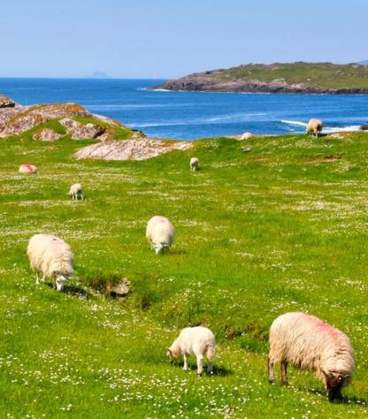 dingle way preview coast