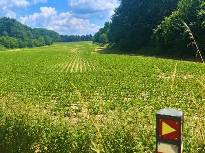 PIETERPAD: STAGE 4, VIERLINGSBEEK TO MAASTRICHT Self-Guided
