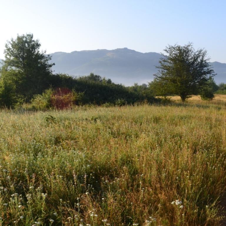 Sentiero erboso all’alba tra campi e montagne umbre, lungo una tappa del cammino di san benedetto.