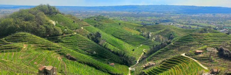 Rolling vineyards and terraced hills along the Prosecco Trail in Italy