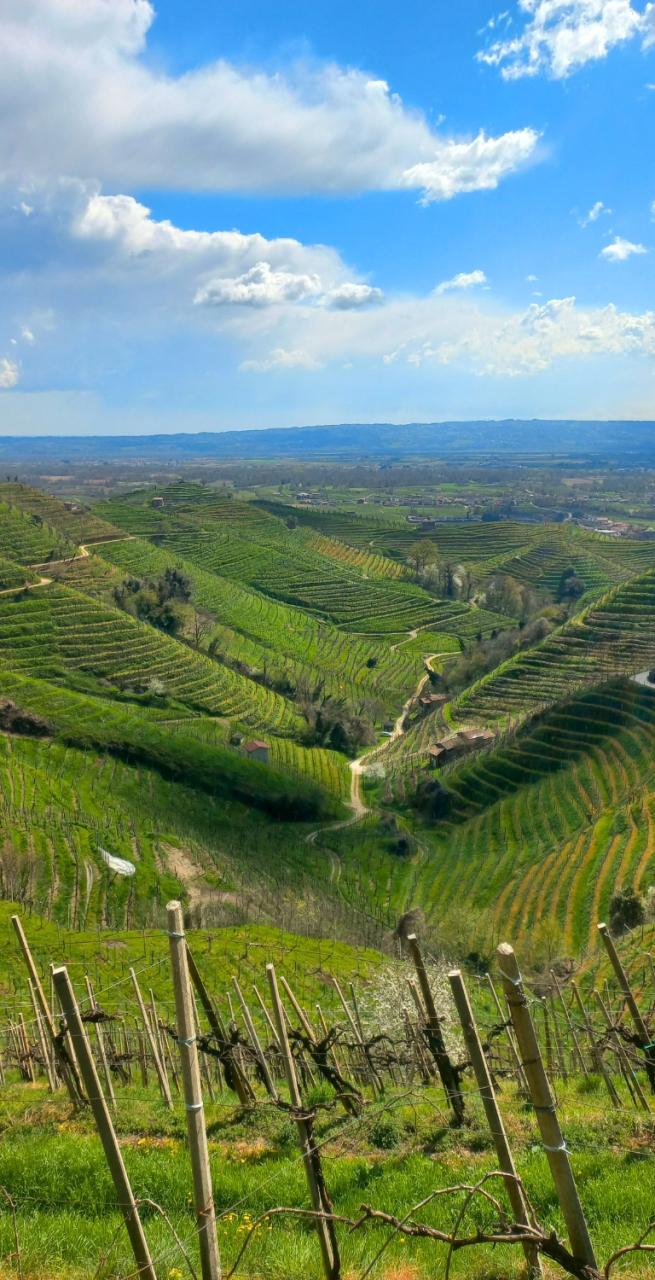 Rolling vineyards and terraced hills along the Prosecco Trail in Italy